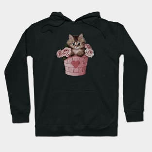 Valentine's Day Cat Hoodie